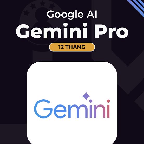 GEMINI PRO 1 NĂM