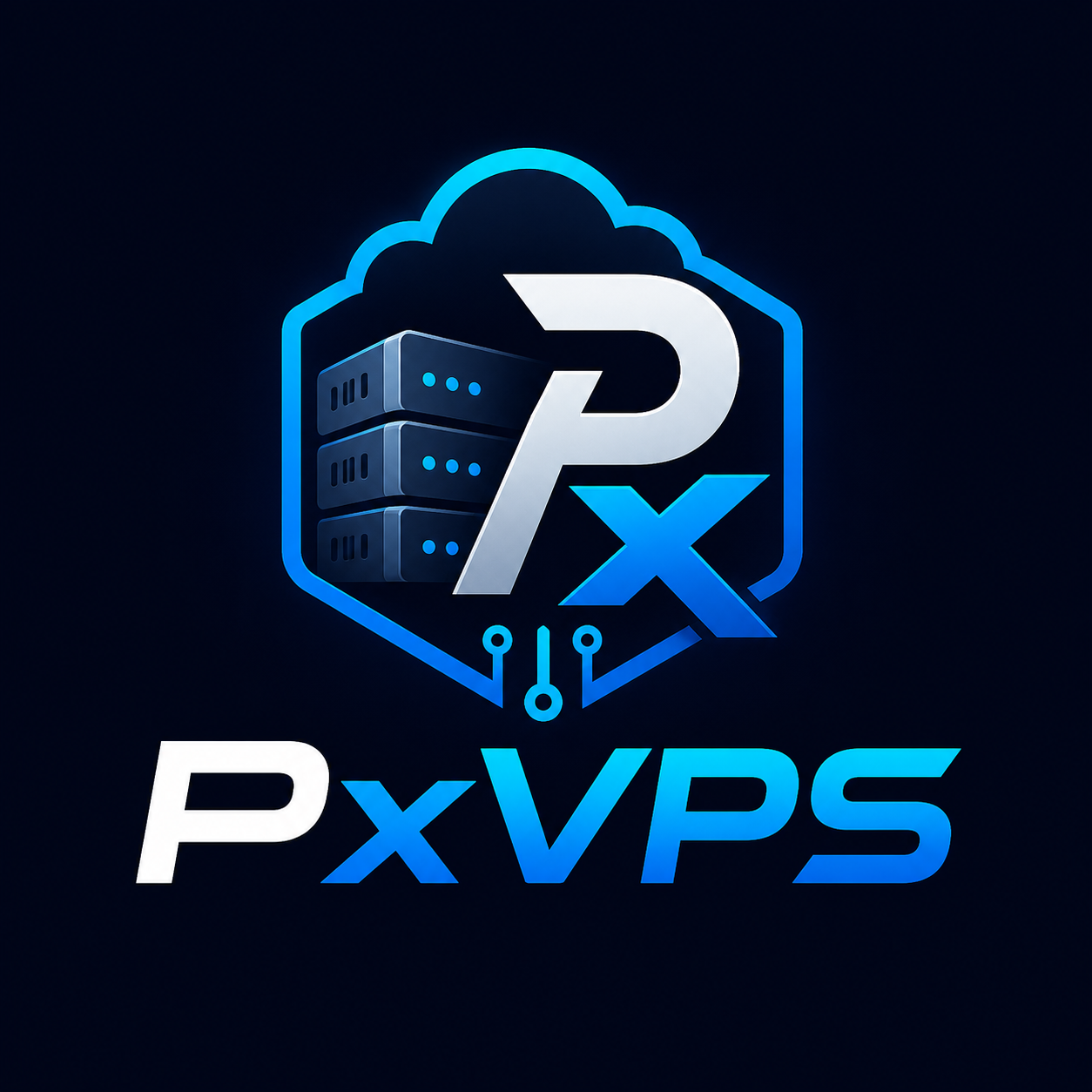 VPS IP NAT